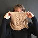 I Found it at the Mall Cowl pattern 