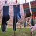 Liezls Vanilla Socks pattern 
