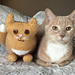 The Parlor Cat photo 4