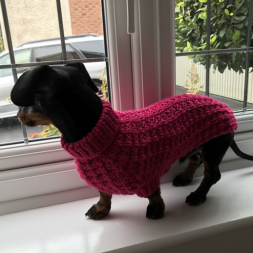 Ravelry Waffle Stitch Mini Dachshund Sweater pattern by Marcia McCormack