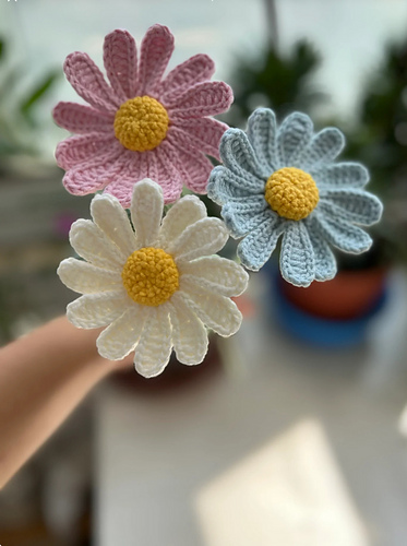 Flower: Daisy