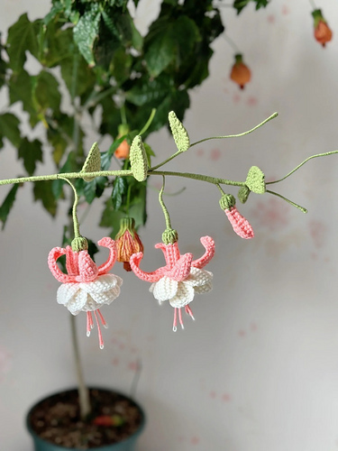 Flower: Fuchsia