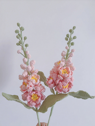 Flower: Snapdragon