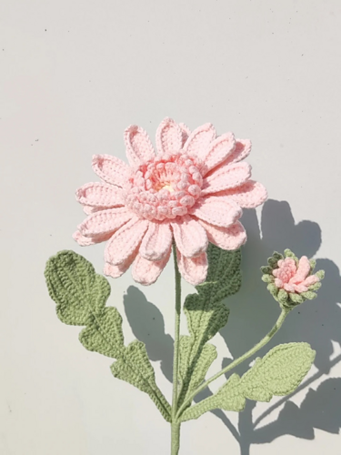 Flower: Gerbera