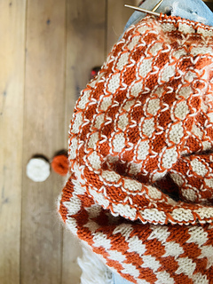 WS of the fabric