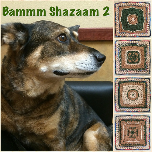 BAMMM Shazaam CAL 2016 Afghan 다른 모습 3