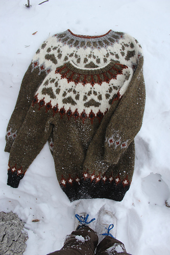 Villmarksgenseren (The Wilderness Sweater) - Linka Neumann