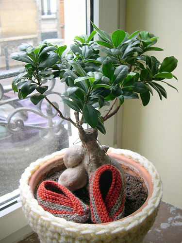 Chaussons mignons photo 5