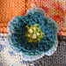Flowers photo 3