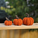 Little Sumpin' Pumpkins pattern