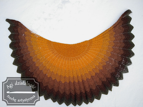 Helianthus Annuus photo 5