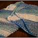 Variations on the Classic Dishcloth photo 3