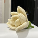 Magnolia flower pattern