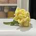 Carnation pattern