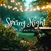 Spring Night pattern