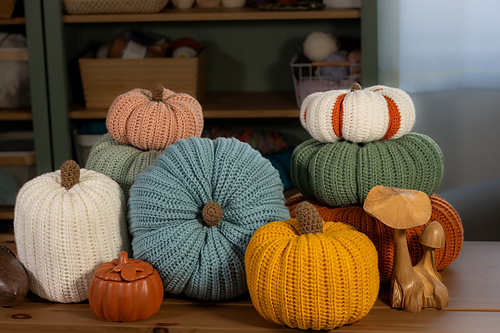Bountiful Pumpkin Patch