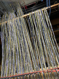 Warping