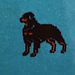 Intarsia Rottweiler pattern 