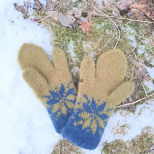 Februar ridevotter - MaBe