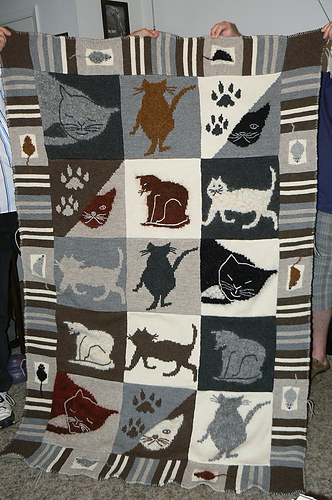 #21 The Cat Afghan photo 1