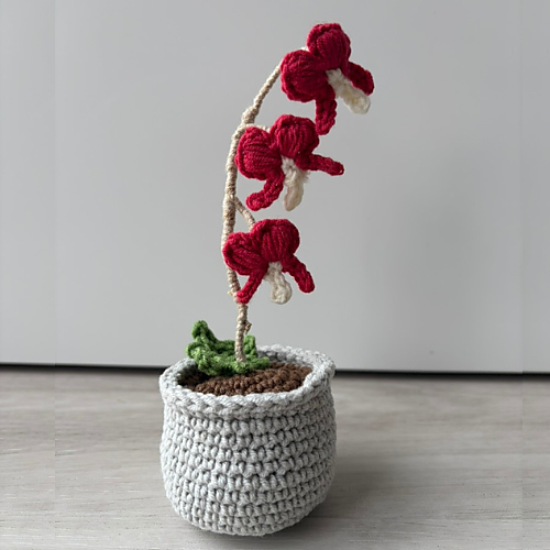 Bleeding Heart Flower