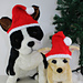 Dog Christmas Santa Hat pattern 