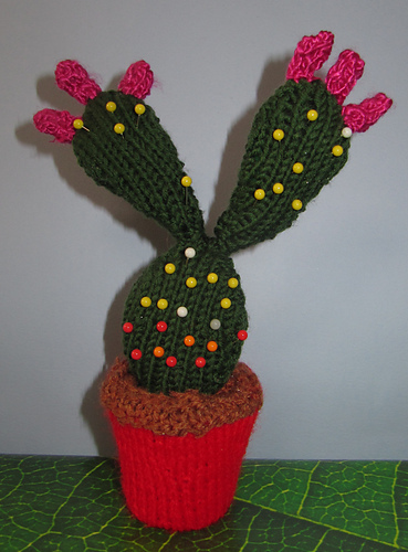 Prickly Pear Cactus Pin Cushion photo 4