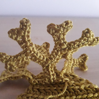 alga parda Dictyota dichotoma