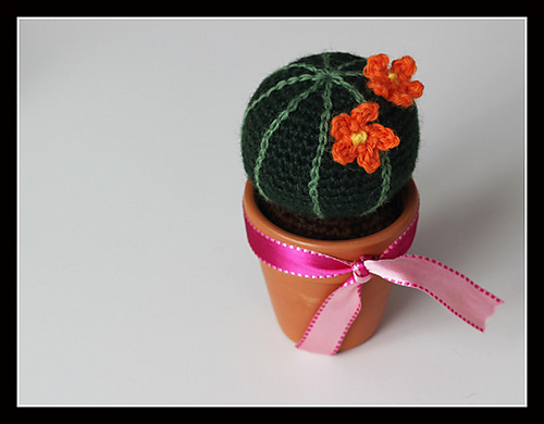 Round cactus! photo 1