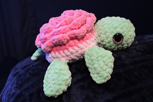 Rose Turtle photo 2
