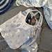 Folia tote pattern