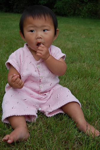 b1-9 Baby Joy photo 4