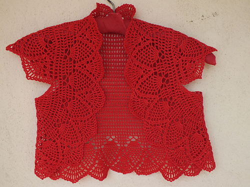 #23 mini pineapple bolero 다른 모습 3