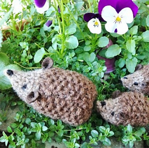 Hans my Hedgehog - Margaret Bloom, all rights reserved