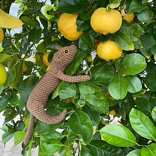 Ravelry: margieelisabeth's Fossa