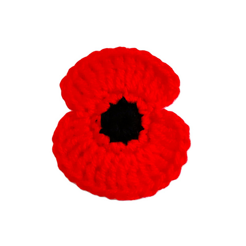 Poppy for Remembrance photo 5