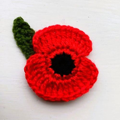 Poppy for Remembrance photo 6