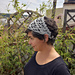 Bellis pattern