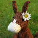 Hannibal the Donkey pattern 