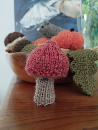 wee mushroom photo 4