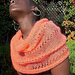 Lace Capelet pattern 