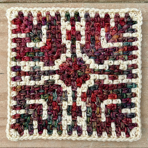 Pixie Square photo 5