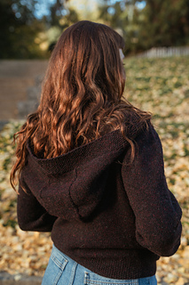 Model 1