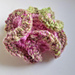 Simple Hyperbolic Flowers photo 3