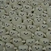 Adipose pattern 
