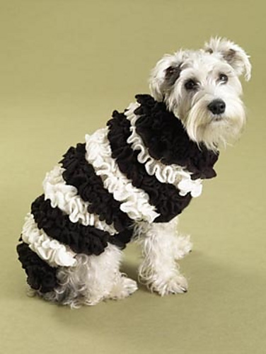 Ruffrageous Dog Sweater