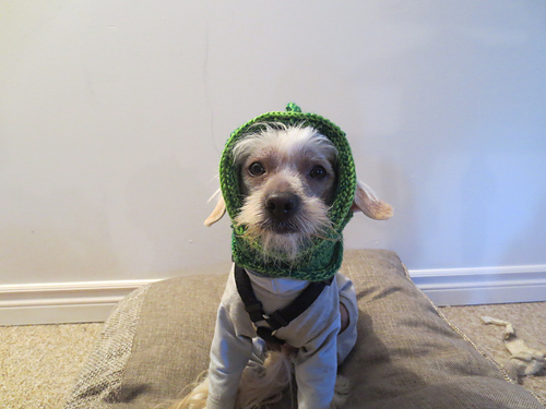 Doggy Dragon Hat (Recipe) photo 2