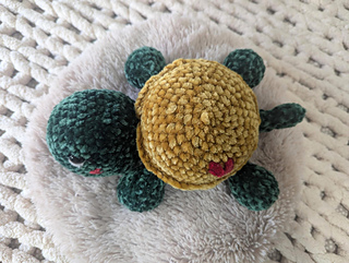 Shelly the Turtle