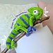 Diego the Chameleon