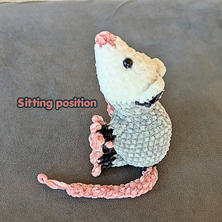 Simon the Opossum